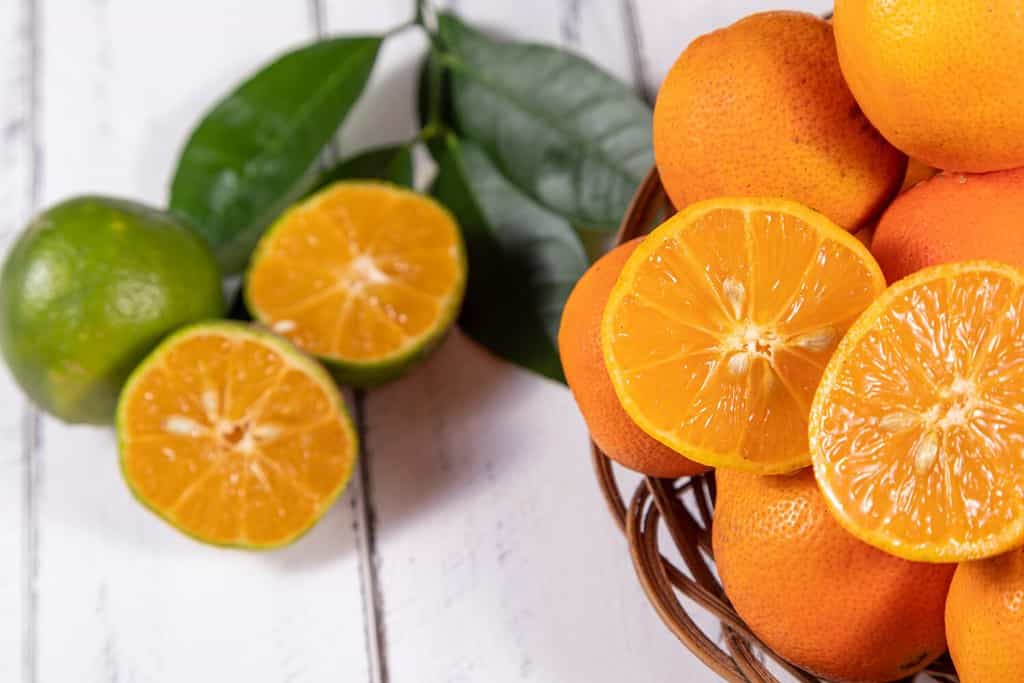 Rangpur, Citrus × limonia o Citrus reticulata × medica, a volte chiamato rangpur lime, mandarin lime o lemandarin, è un ibrido tra il mandarino e il cedro. Messa a fuoco selettiva