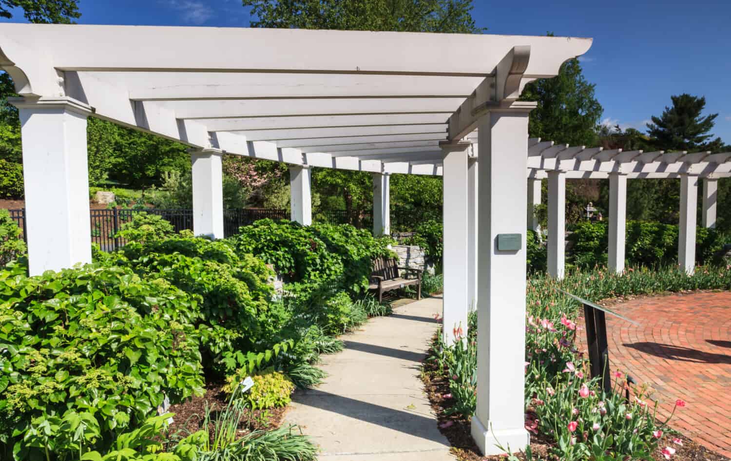 Pergola e percorso bianchi agli Hershey Gardens in Pennsylvania.