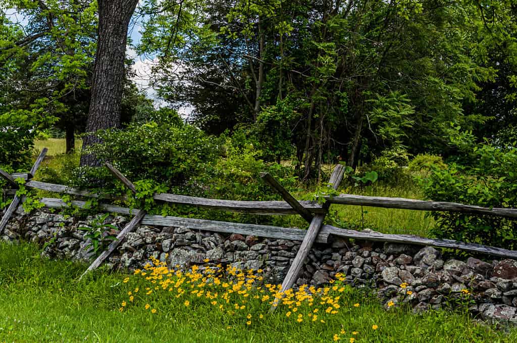 Bellissimo parco, Pennsylvania, Stati Uniti