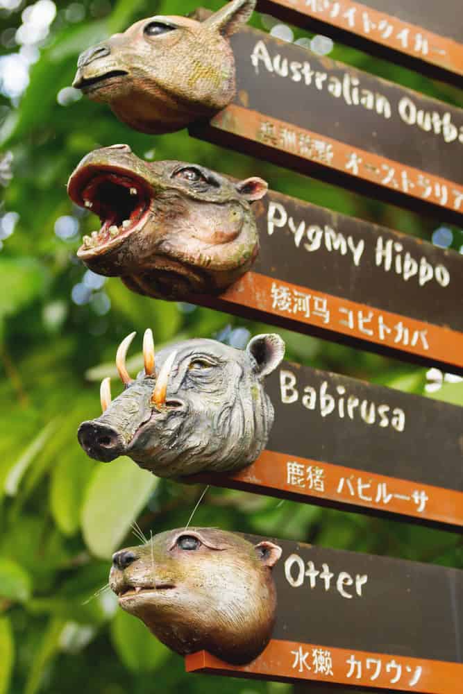 Segni interessanti per i recinti. Puntatori con teste di animali. Zoo di Singapore.