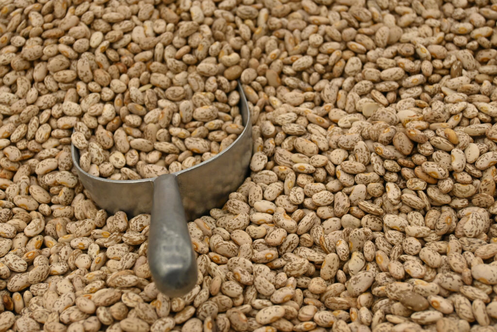 Fagioli Pinto (frijol pinto), frame completo