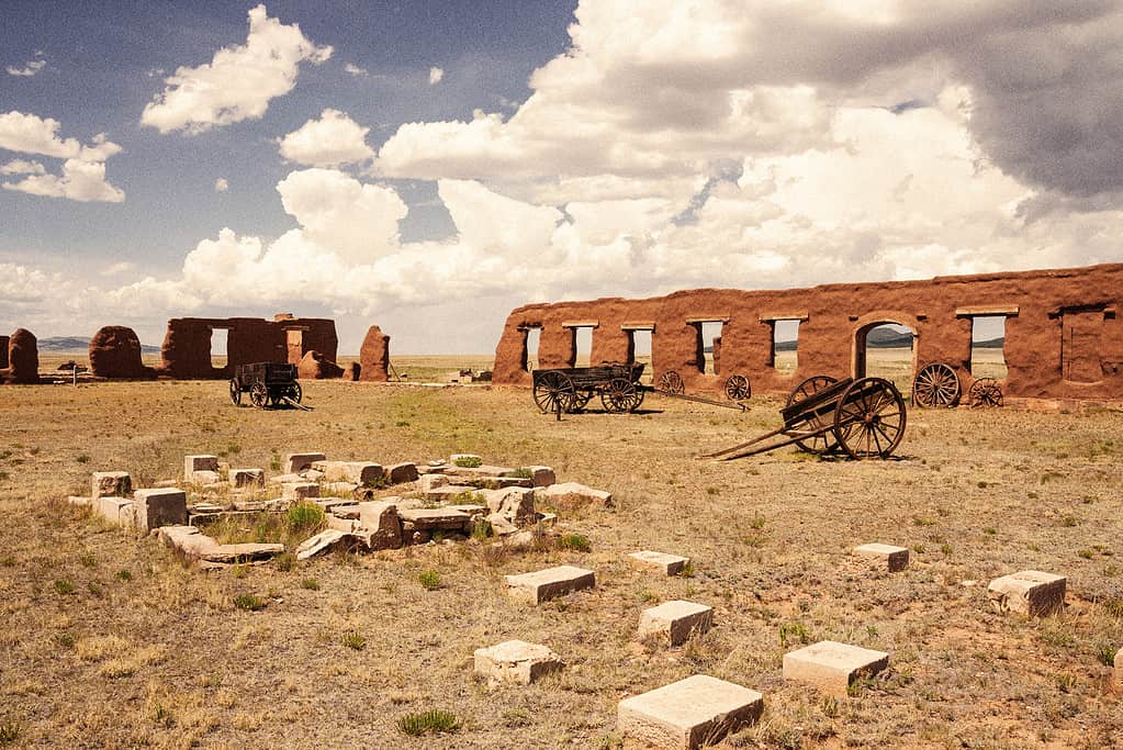 Tesori del Nuovo Messico