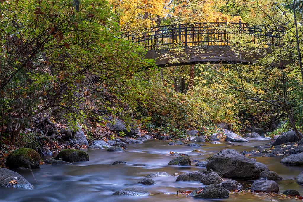 Ponte al Lithia Park vicino al torrente