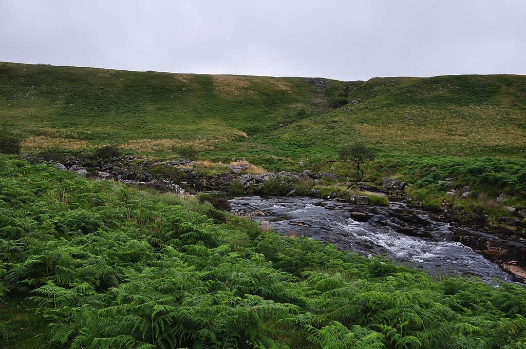 Il fiume Tavy a Dartmoor, in Inghilterra.