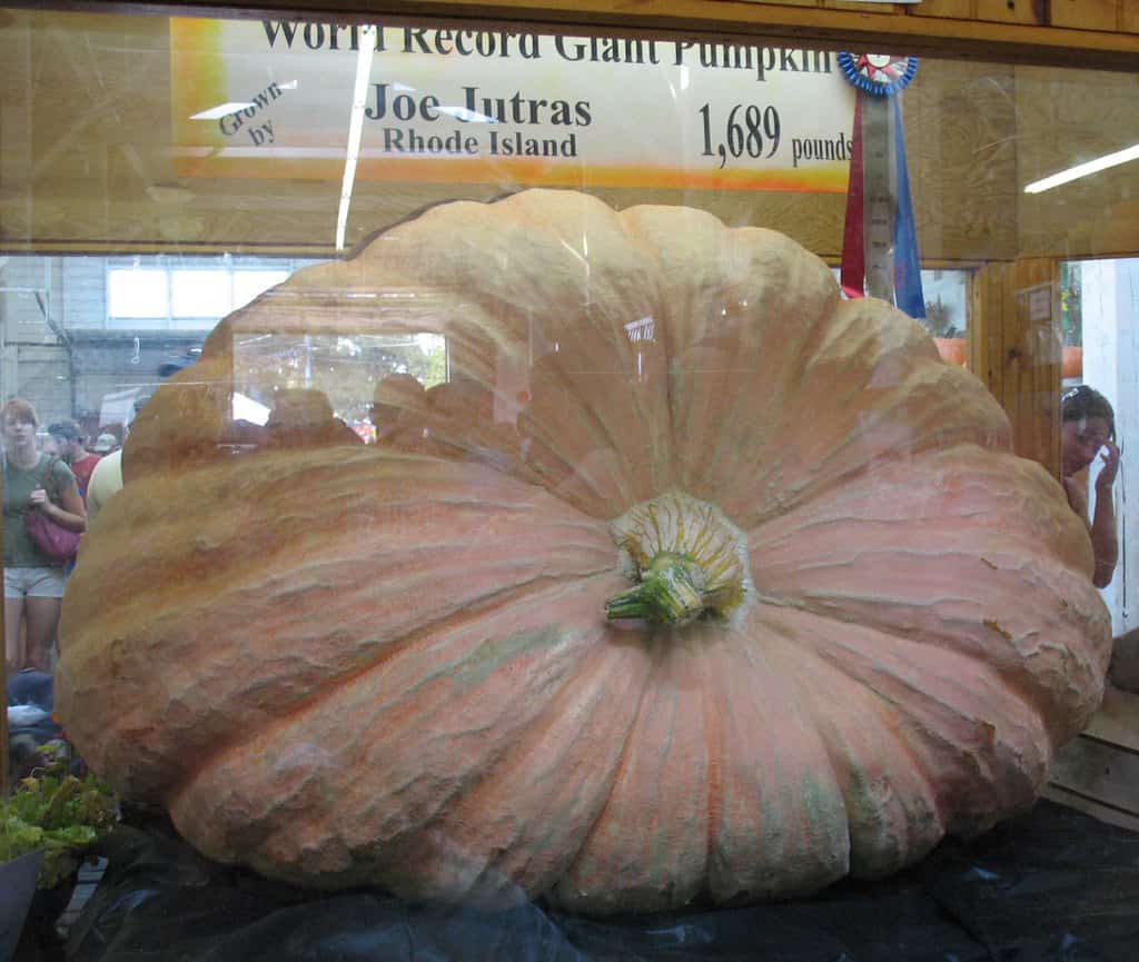la zucca più grande mai registrata