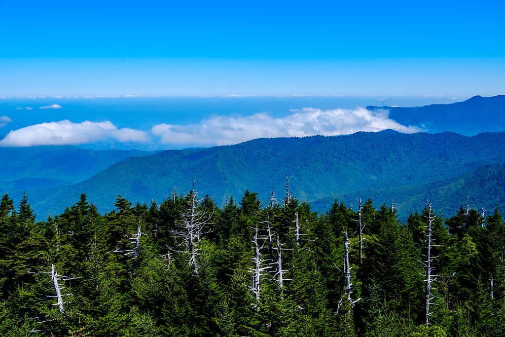 Nashville e le Smoky Mountains del Tennessee