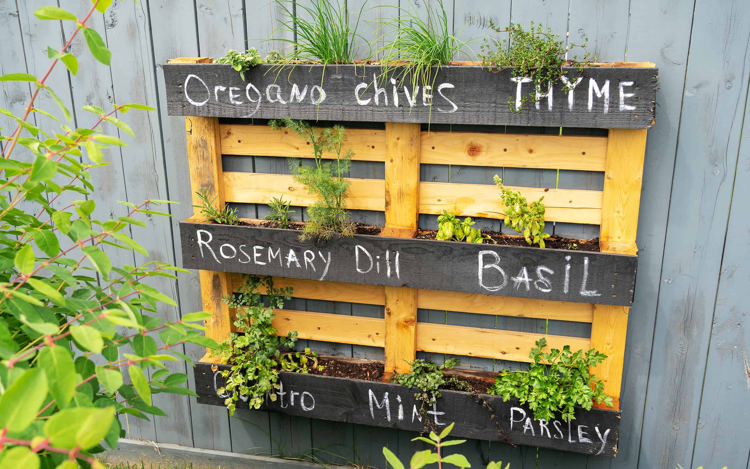 Idea creativa con pallet in legno per realizzare eleganti fioriere sospese da giardino per erbe o verdure. Fioriera a parete