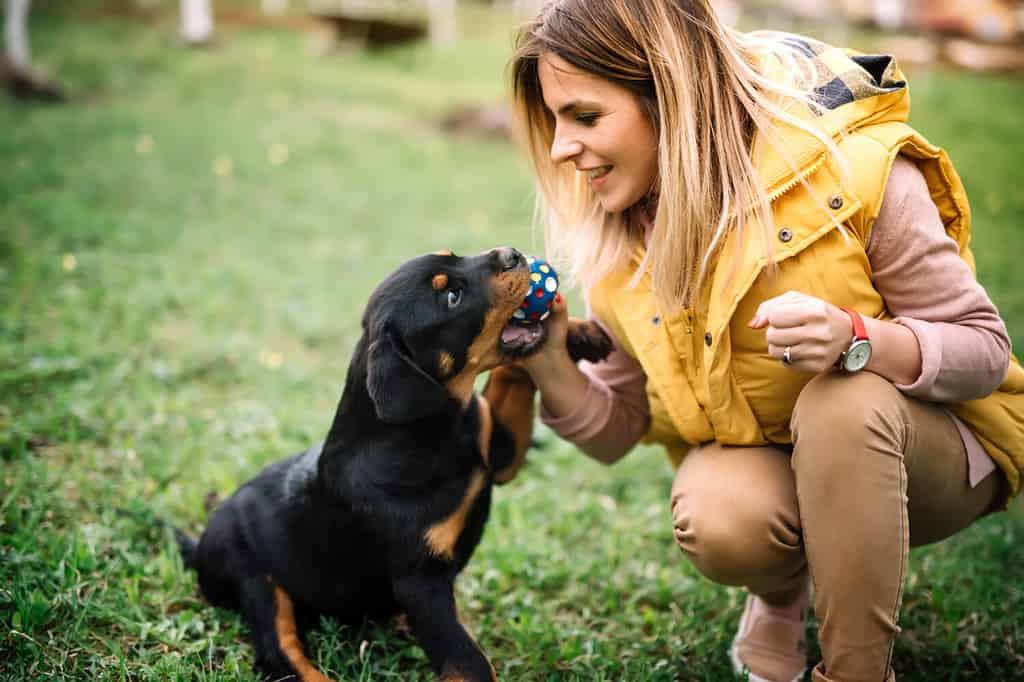 Giovane donna che si allena e gioca con il cucciolo sull'erba, nel parco.  Dettagli del cucciolo di cane Rottweiler