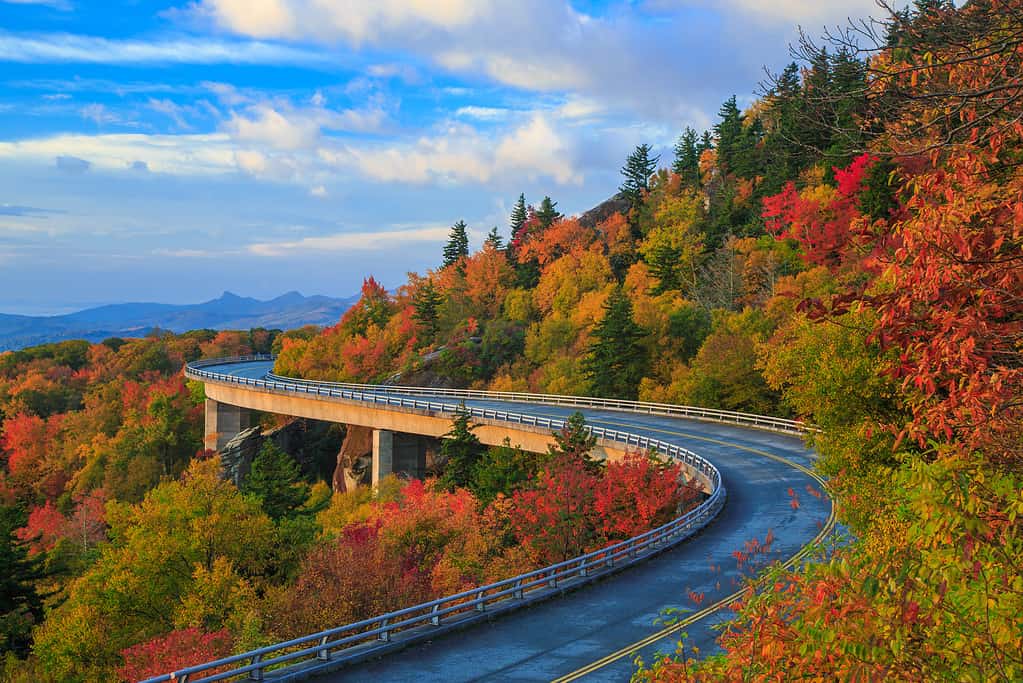 Viadotto di Linn Cove - Caduta della Blue Ridge Parkway