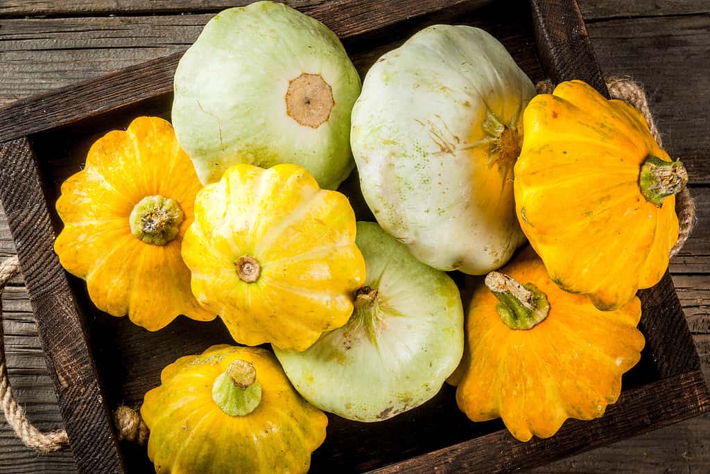 Padella per tortini di zucca cruda