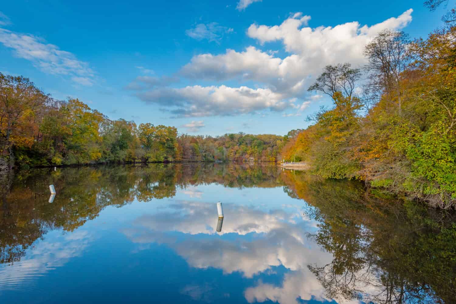 Colore autunnale al Lago Roland al Robert E Lee Park a Baltimora, nel Maryland
