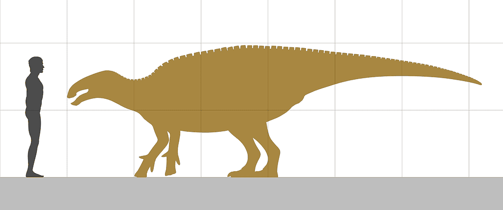dinosauri che iniziano con G