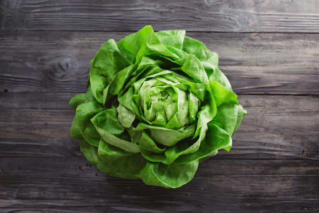 12 alimenti umani che puoi somministrare in sicurezza ai pesci Betta
