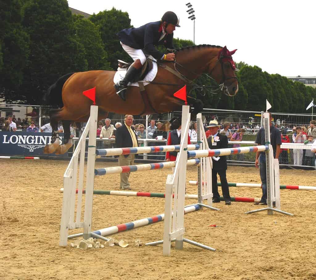 Nick Skelton e Arko III Oldenburg salto a cavallo