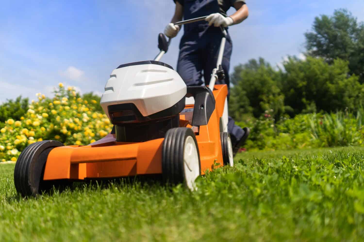 Un giovane sta falciando un prato con un tosaerba nel suo bellissimo giardino estivo floreale e verde. Un giardiniere professionista con un tosaerba si prende cura dell'erba del cortile.