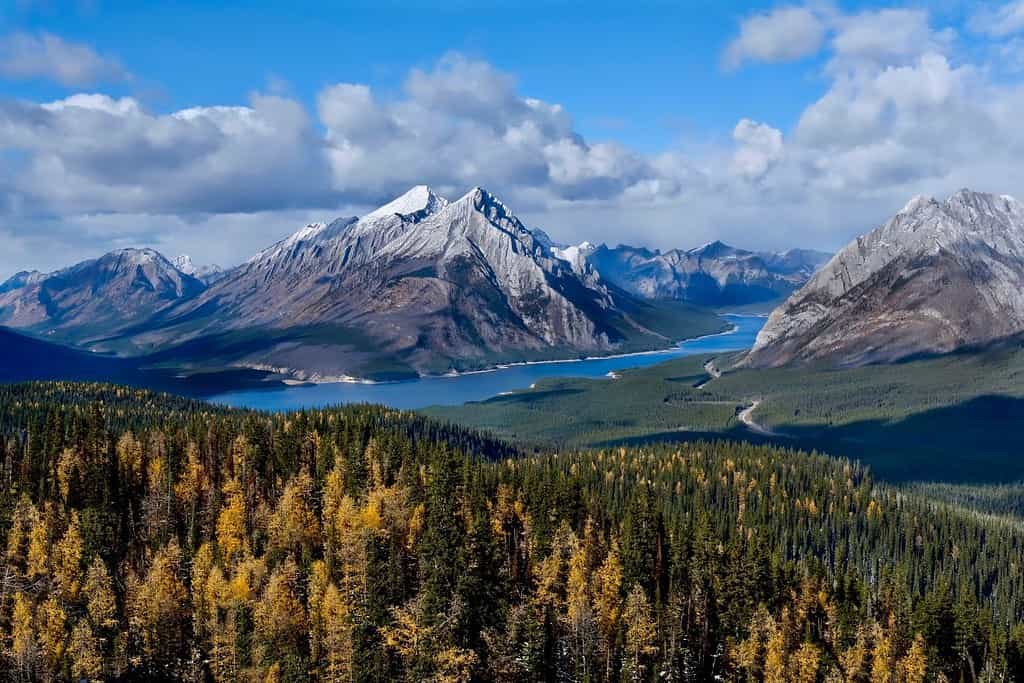 Paesaggio delle Montagne Rocciose con lago e larici dorati. Tenda Ridge a ferro di cavallo. Spray Lake nel parco provinciale di Spray Valley. Kananaskis. Alberta. Canada.