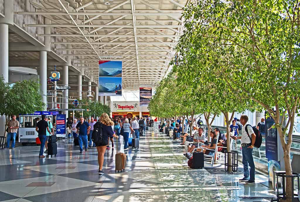 Atrio centrale occupato all'aeroporto internazionale di Charlotte Douglas