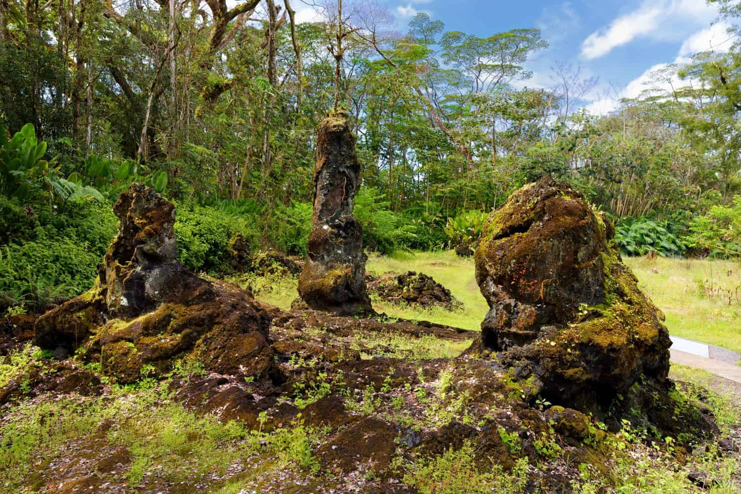 Stampi di lava dei tronchi degli alberi che si formarono quando un flusso di lava attraversò un'area boschiva nel Lava Tree State Monument sulla Big Island delle Hawaii, USA