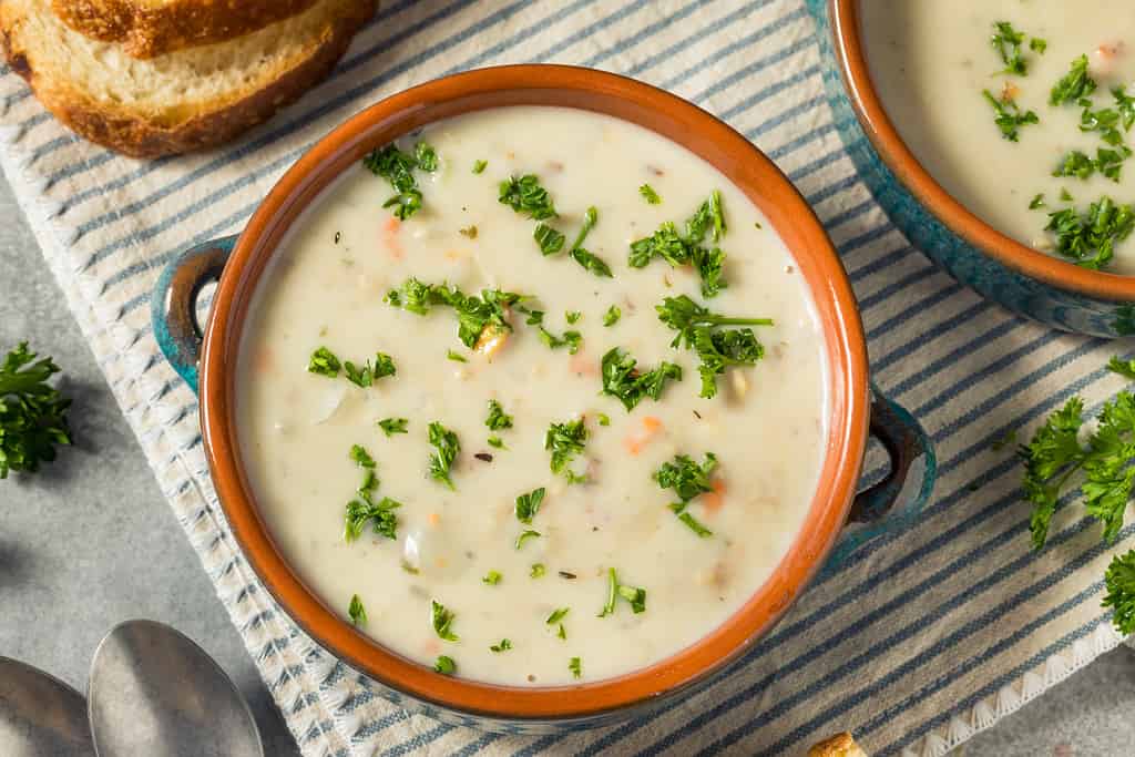 Zuppa cremosa di zuppa di vongole fatta in casa
