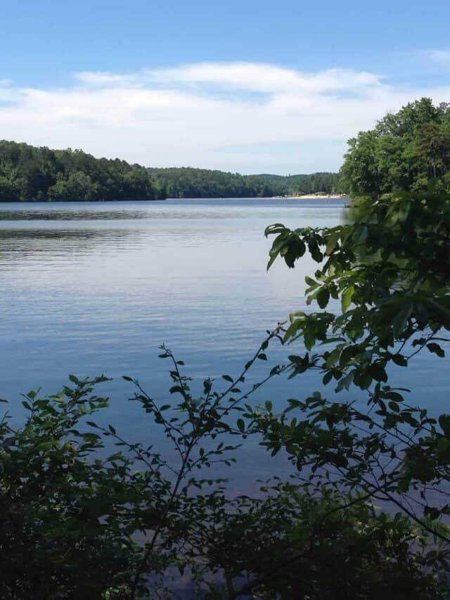 Lago Lurleen visto dal sentiero in riva al lago a Tuscaloosa, AL
