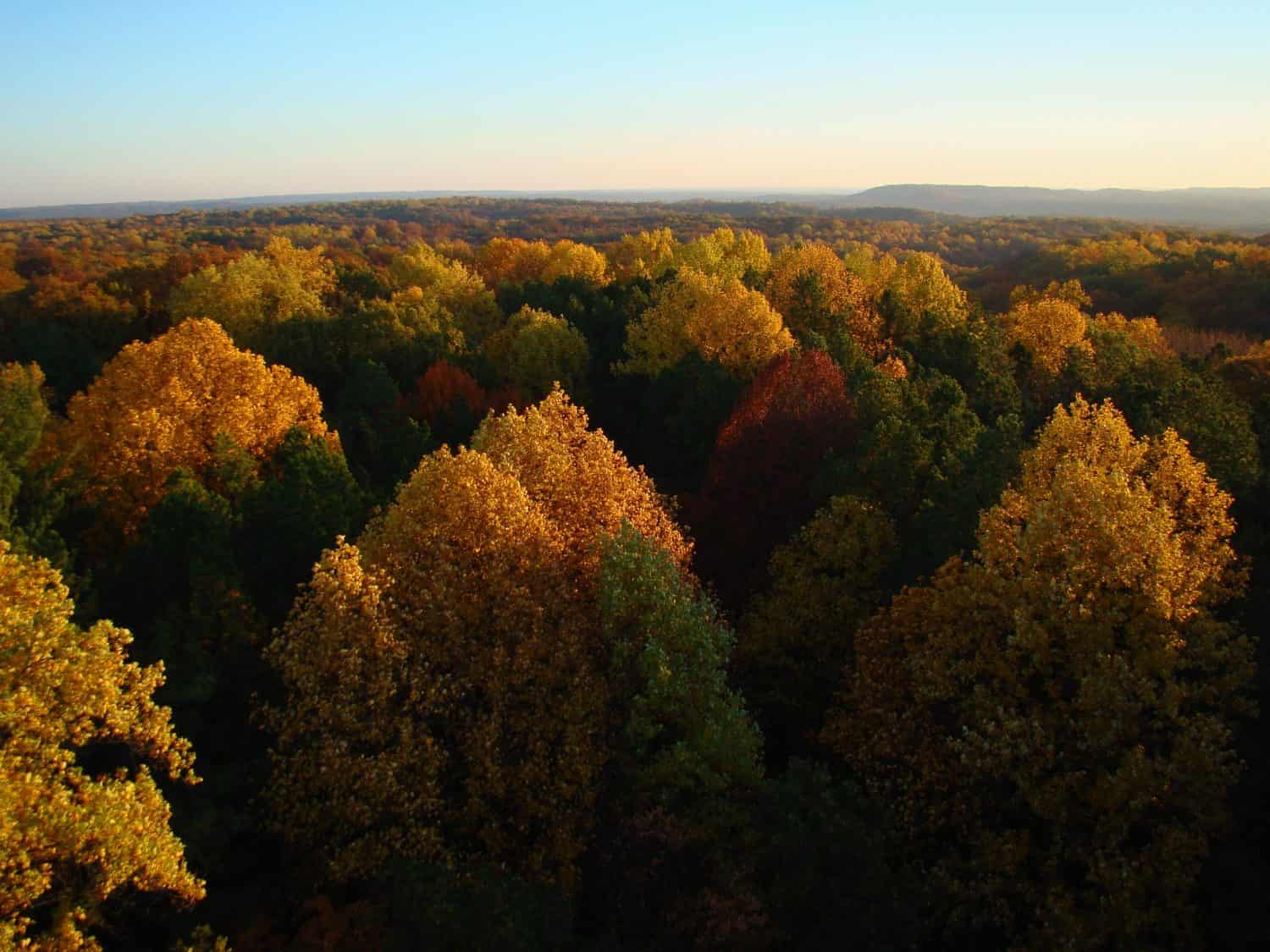 Charles Deam Wilderness, alba della torre antincendio di Hickory Ridge