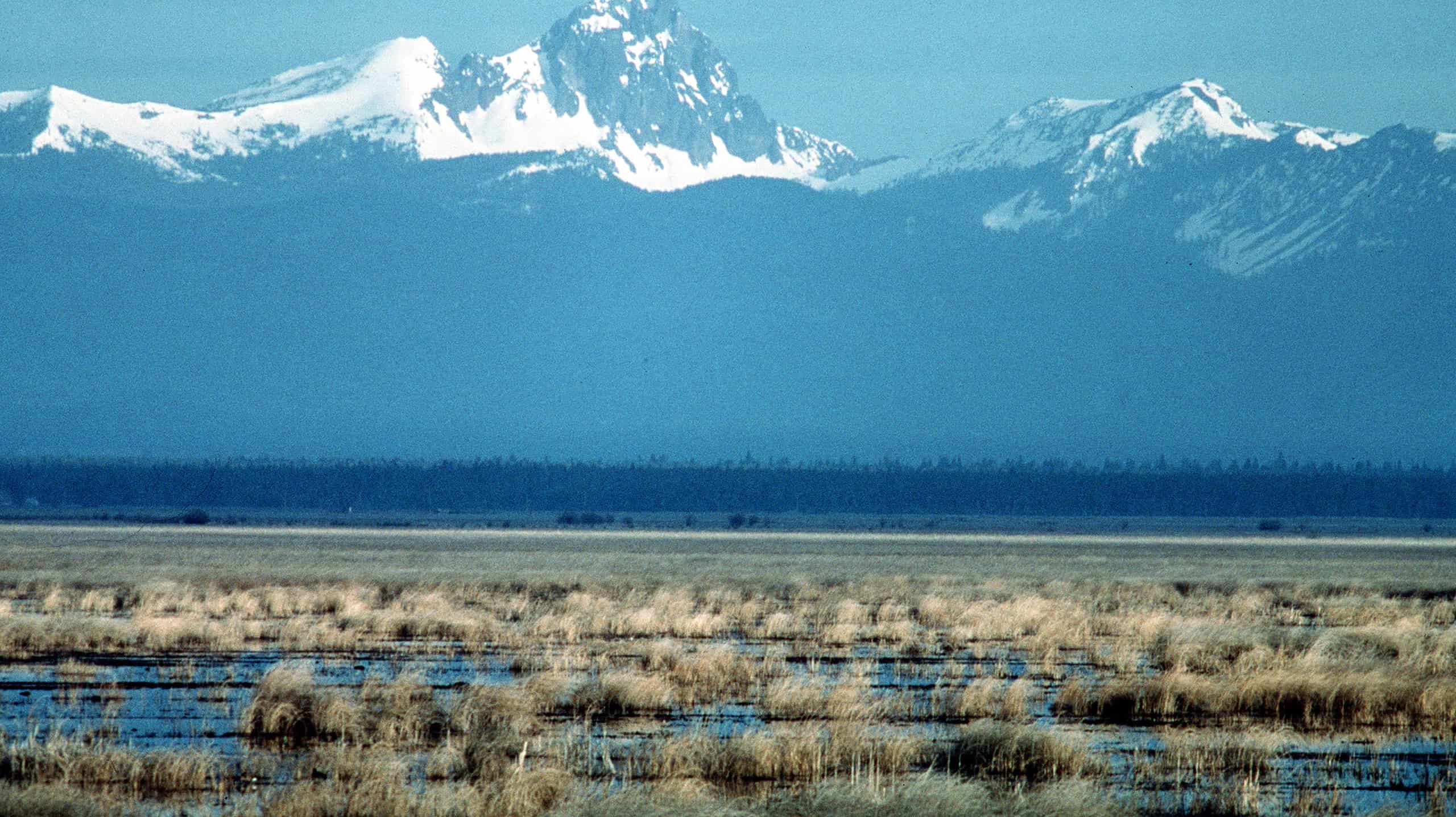 Clear Lake Reservoir è un bacino idrico nel bacino di Klamath e nella foresta nazionale di Modoc, nella contea nordoccidentale di Modoc, in California.