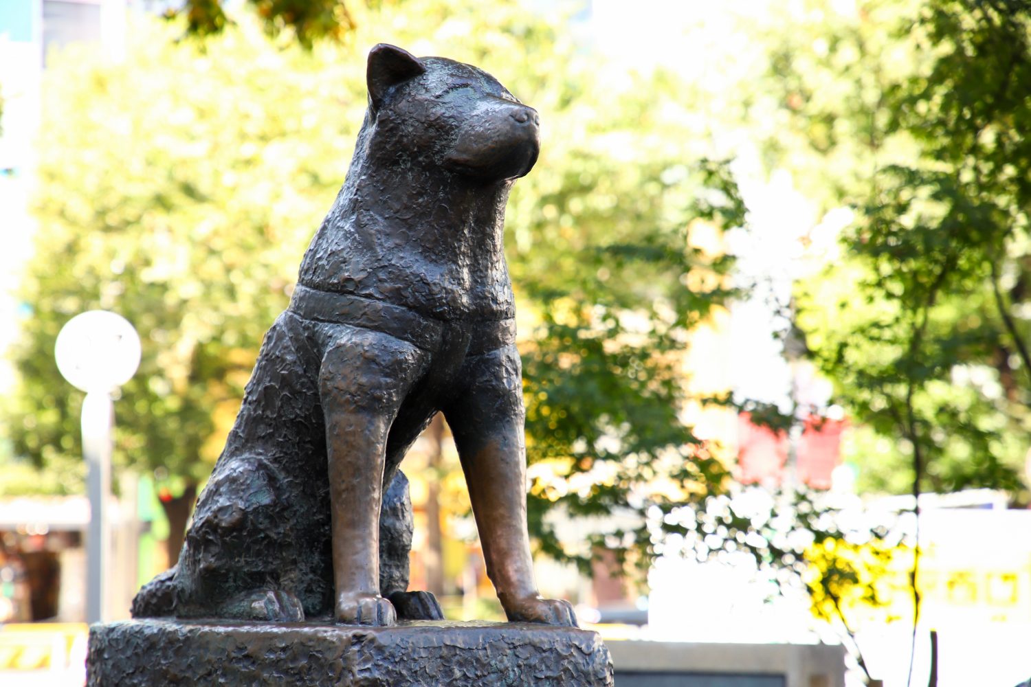 Statua del cane Hachiko Di fronte alla stazione di Shibuya Realizzata in bronzo È un simbolo di onestà