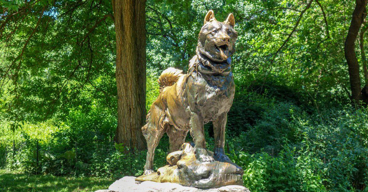 I migliori nomi di cani: nomi di cani storici e famosi unici