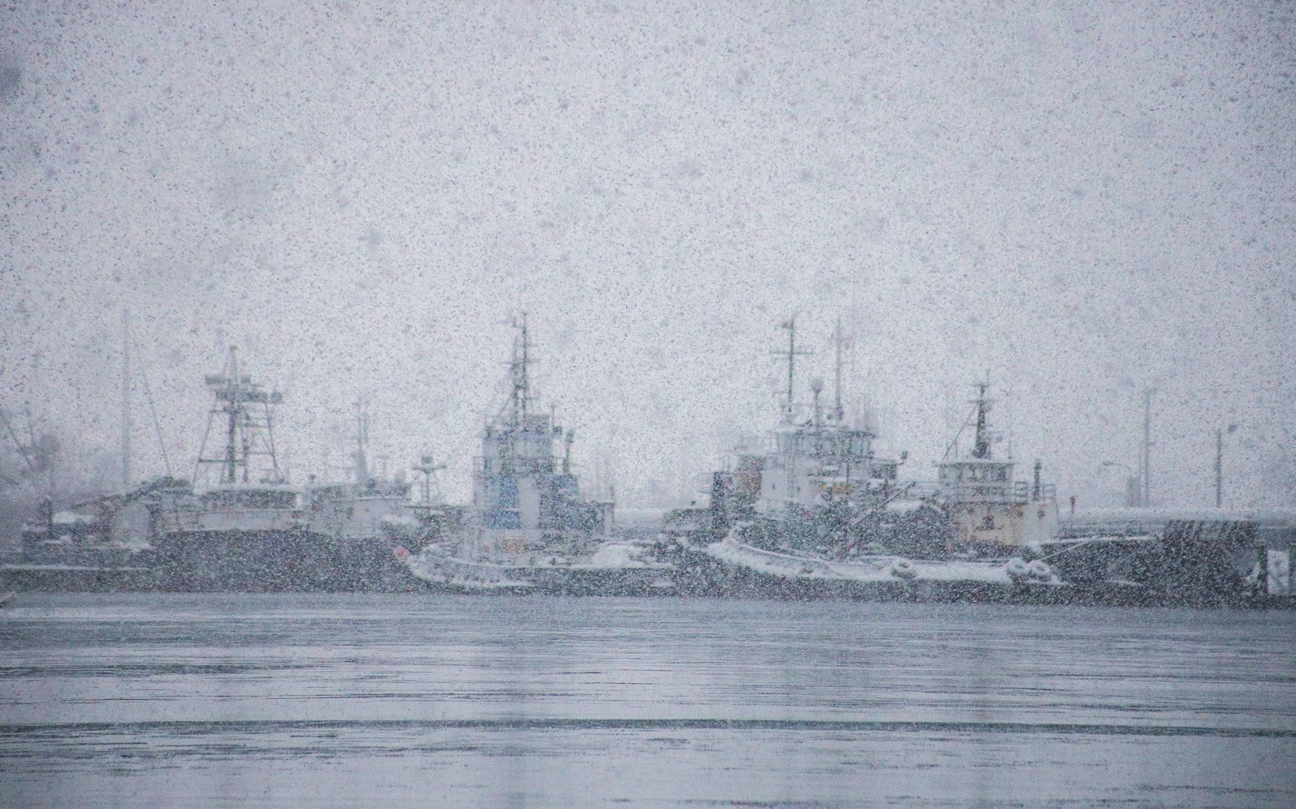 La bufera di neve dell'Alaska