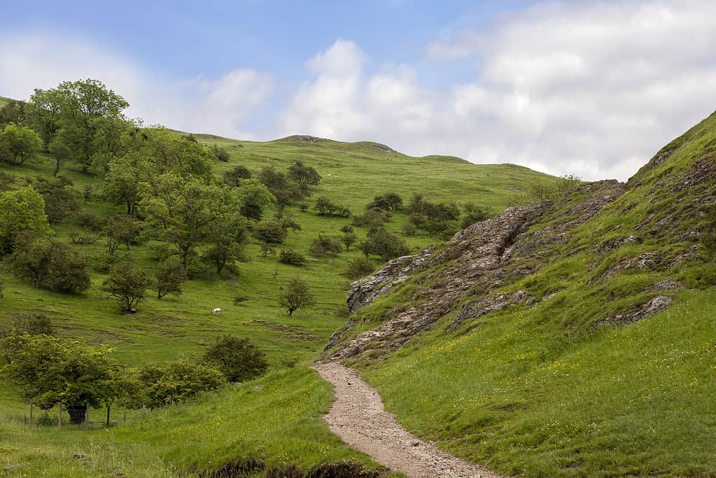 Lin Dale a Dovedale, Peak District, Derbyshire, Inghilterra, Regno Unito