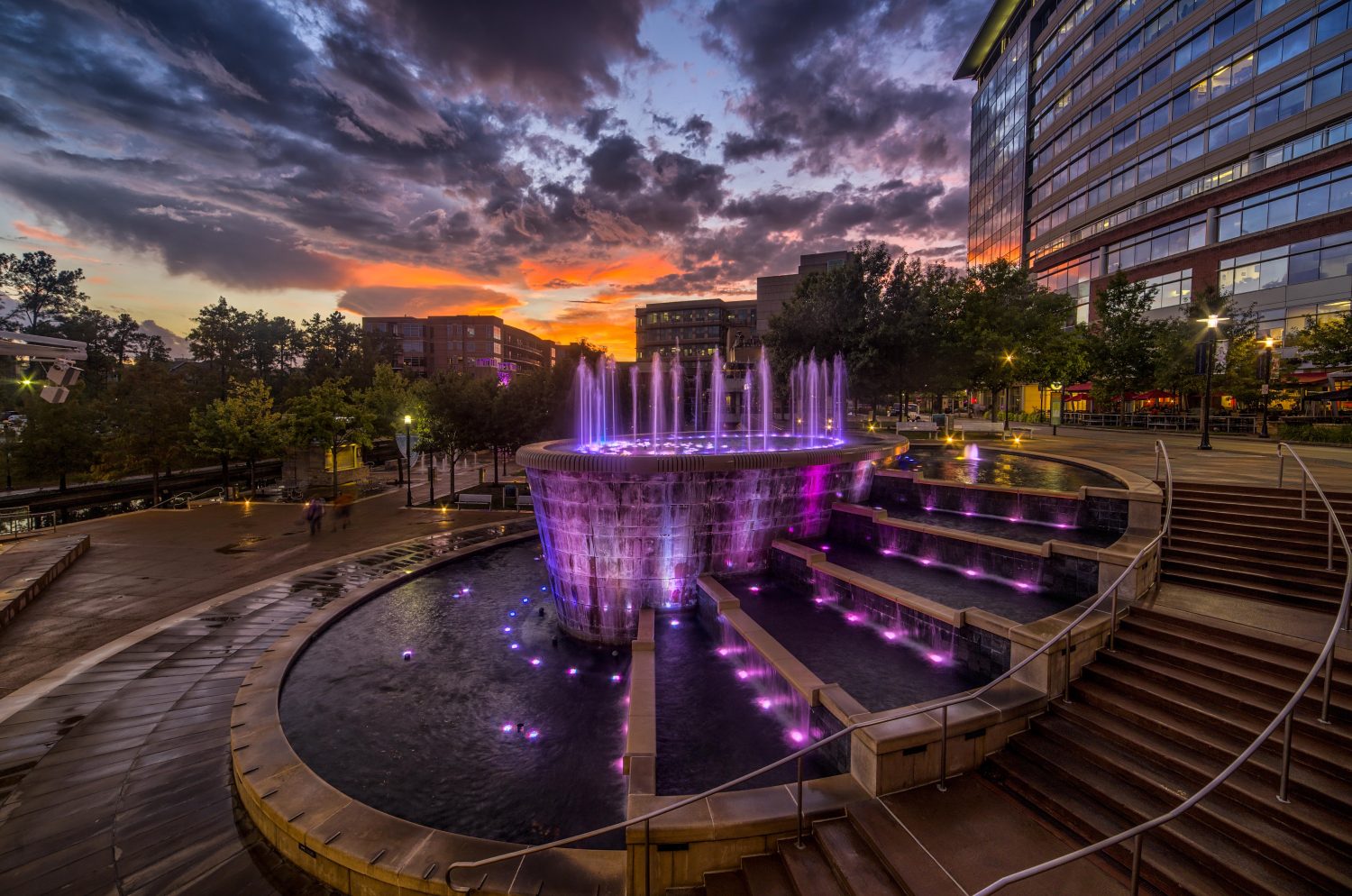 la fontana del bosco