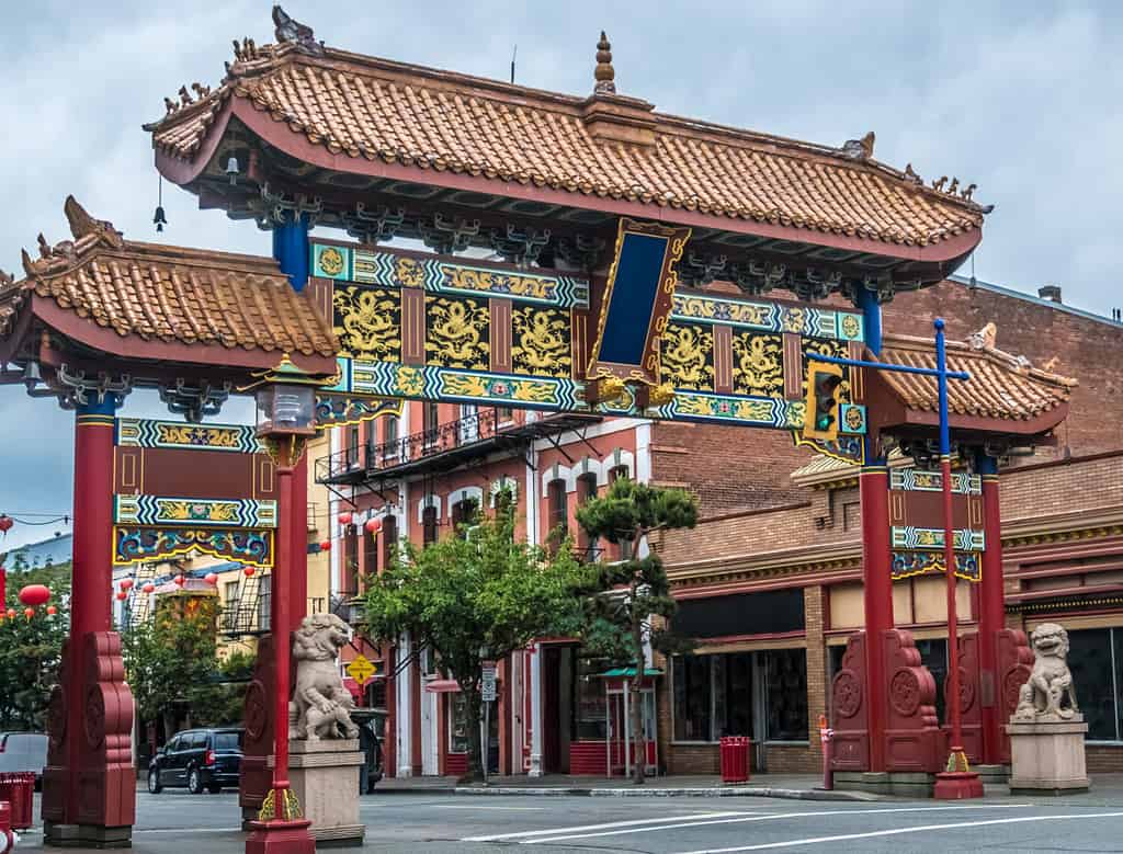 Chinatown a Victoria, Isola di Vancouver, Columbia Britannica, Canada. La Chinatown più antica del Canada e la seconda più antica del Nord America dopo quella di San Francisco.