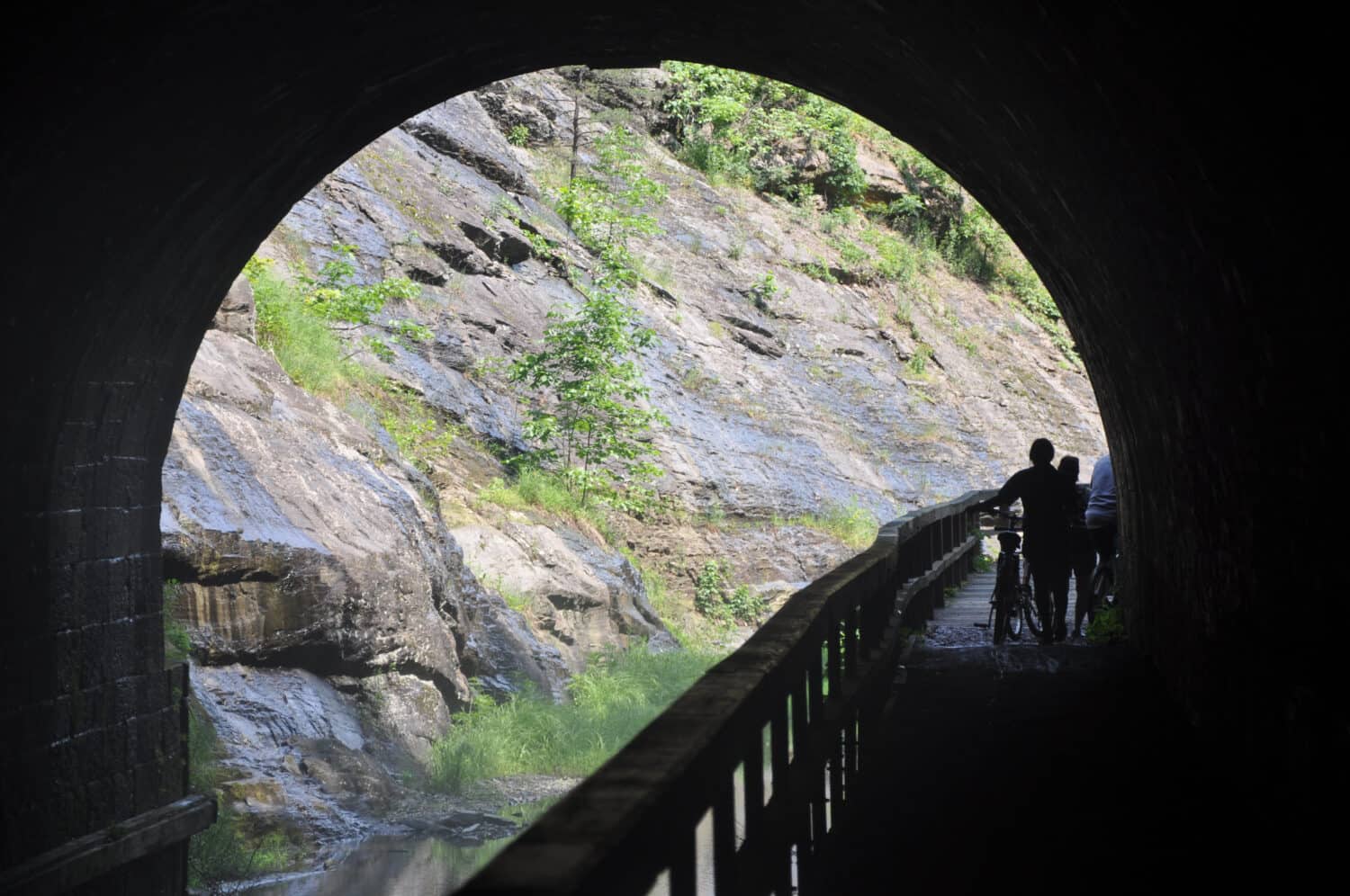 Paw Paw Tunnel sul canale Chesapeake e Ohio nella contea di Allegany, nel Maryland.
