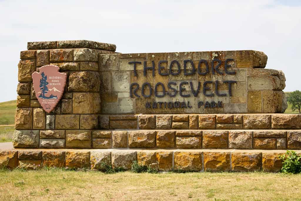 Parco nazionale Theodore Roosevelt, Dakota del Nord, Stati Uniti