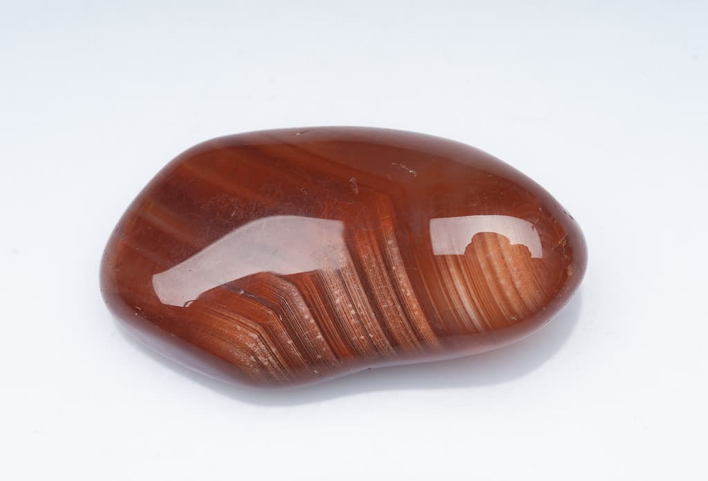 animali e creature mitologiche associati al fuoco