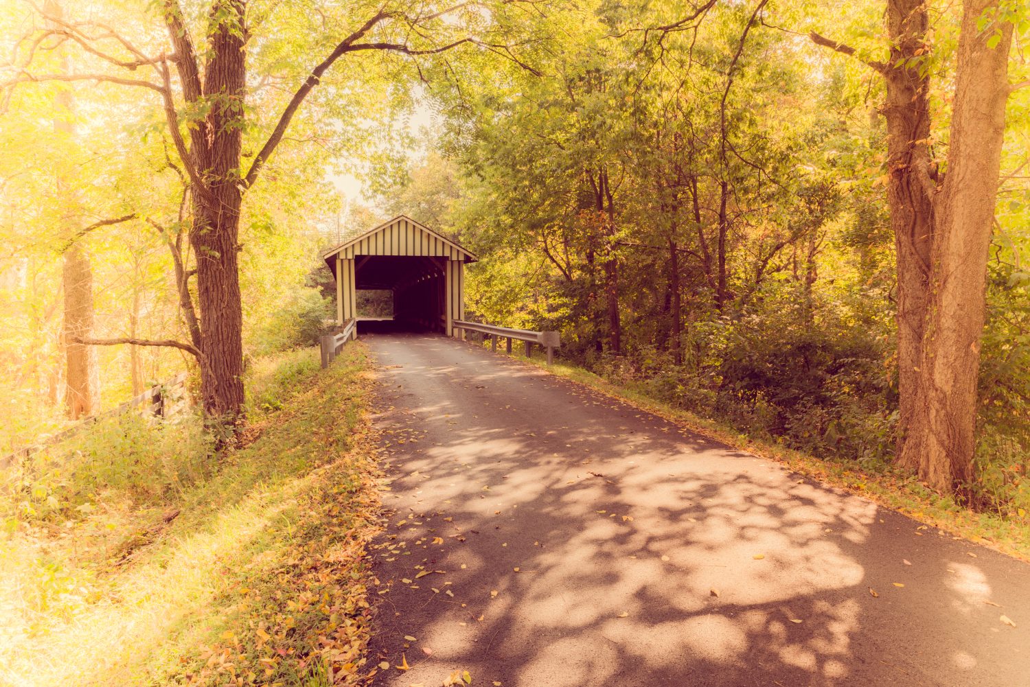 Ponte coperto di Colville, stile Instagram