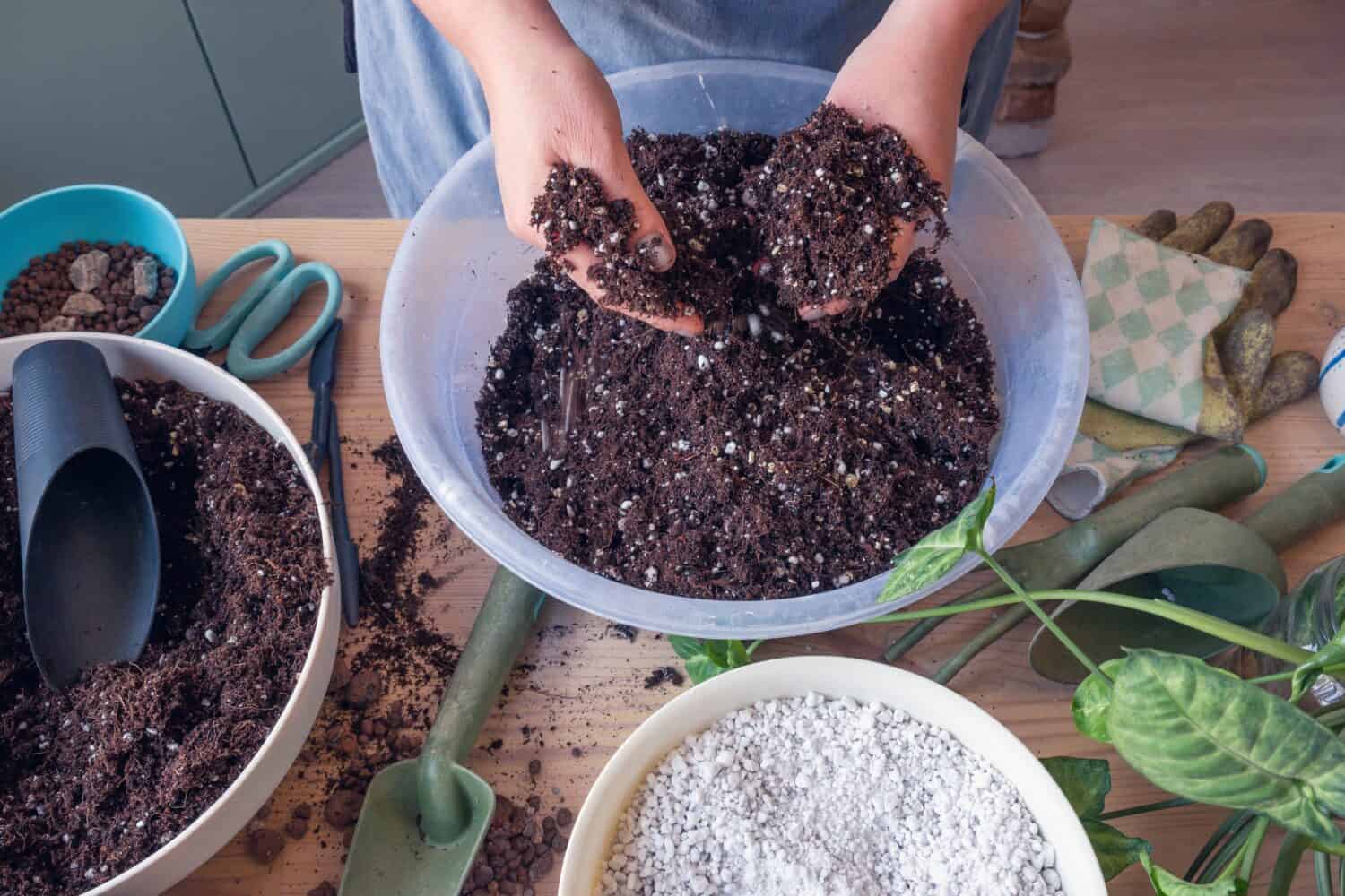 Cura delle piante in vaso da interno in primavera. Una donna caucasica che mescola il terreno vegetale con la perlite nel contenitore. Vista dall'alto.