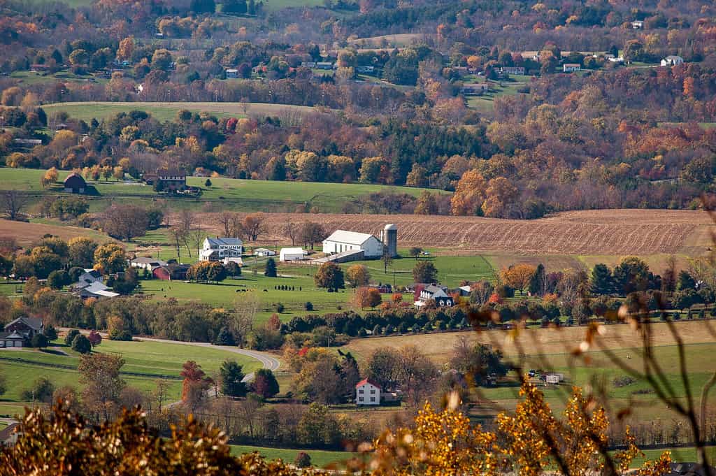 Colori autunnali nelle zone rurali di Frederick, nel Maryland