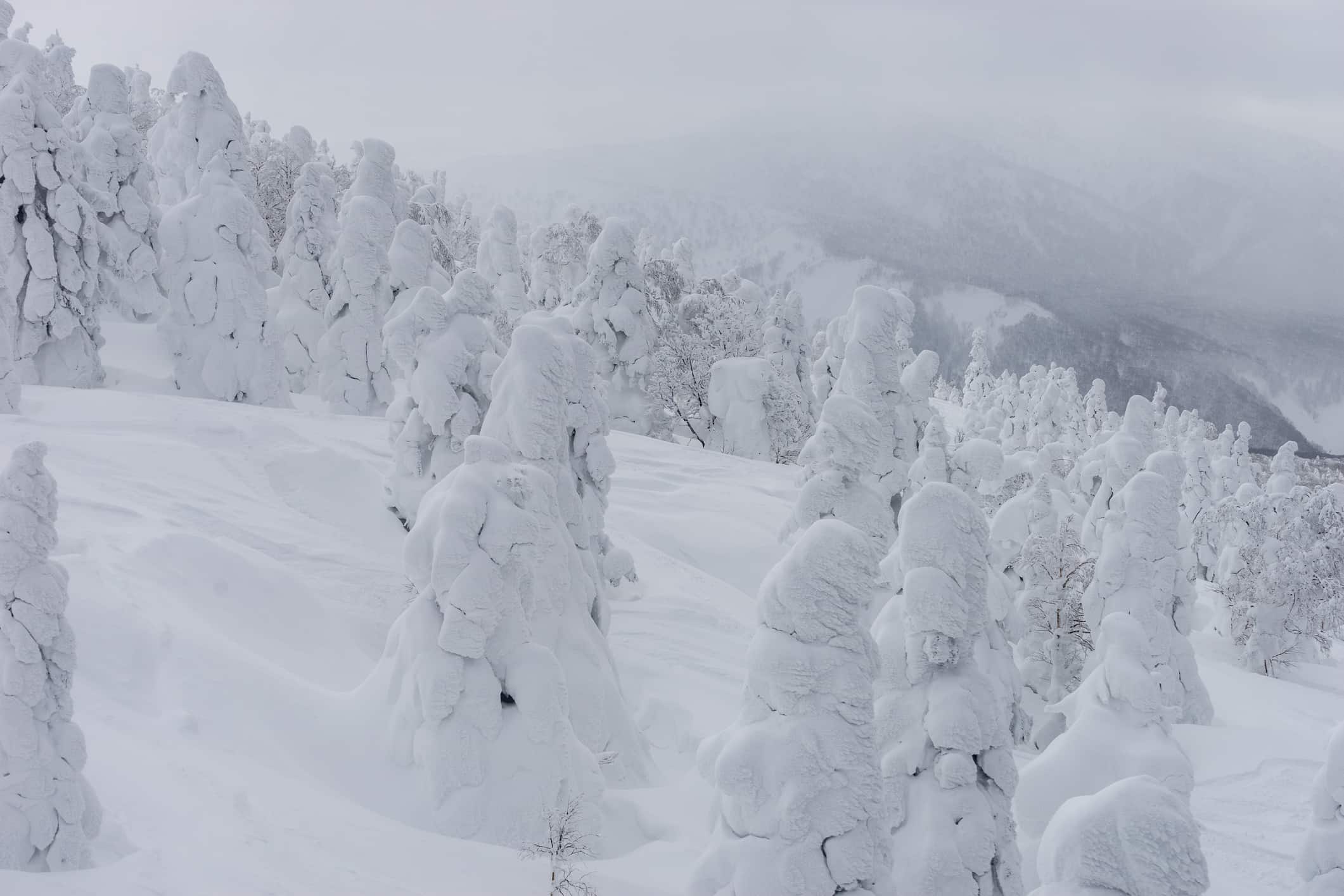 Mostro di neve sul monte Hakkoda, Aomori, Giappone