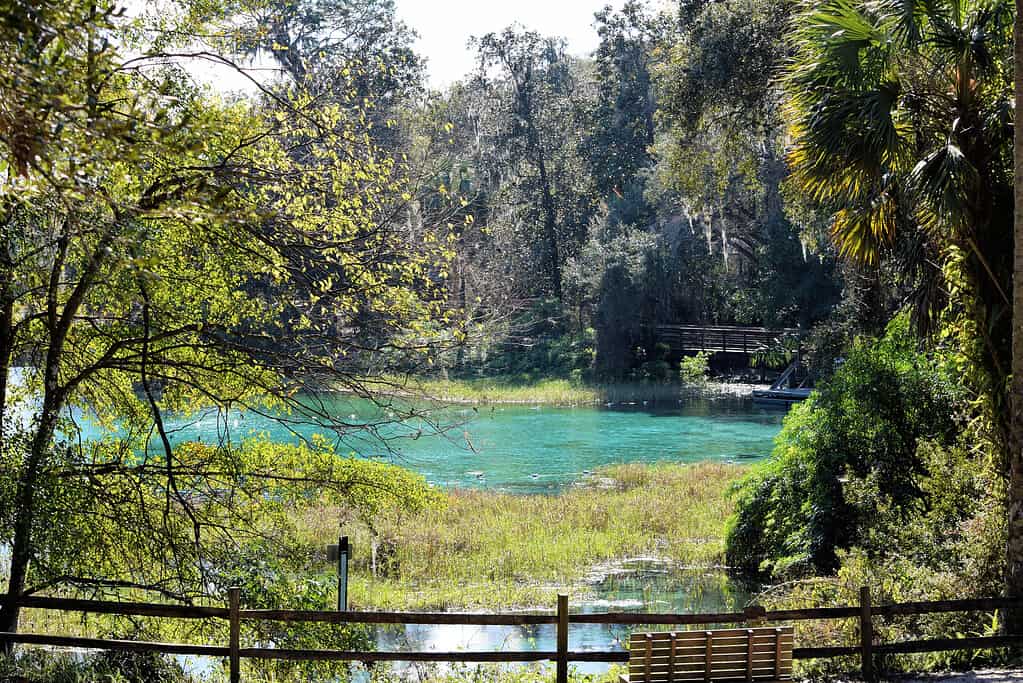 Giardini di Rainbow Springs Dunnellon, Florida