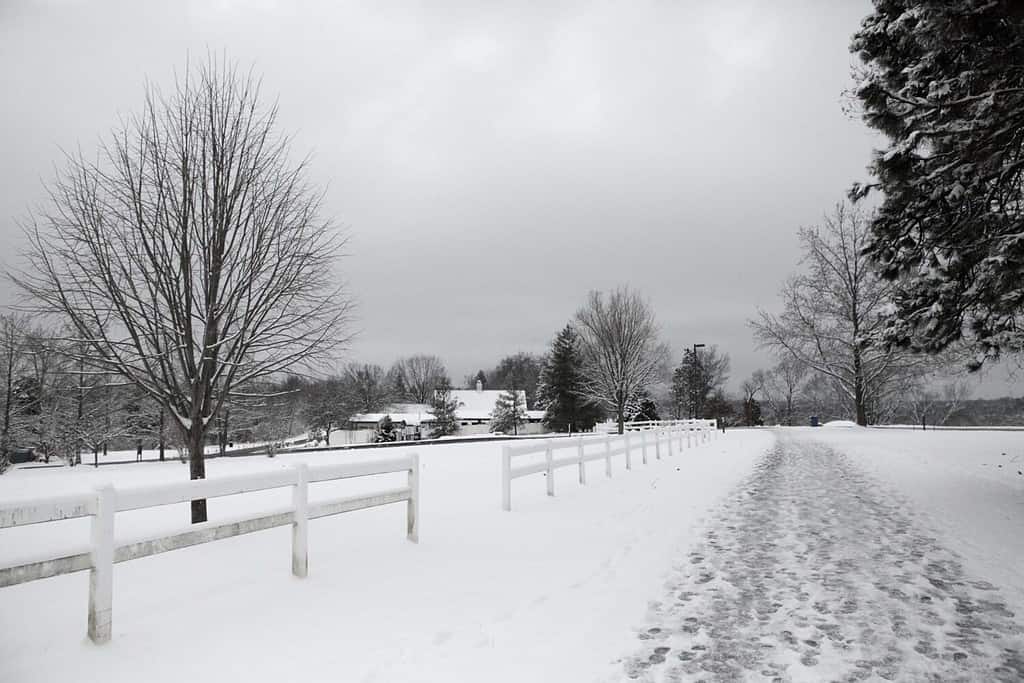 Città e campagna, Missouri, Stati Uniti. 25 dicembre 2010. Sentieri innevati in inverno