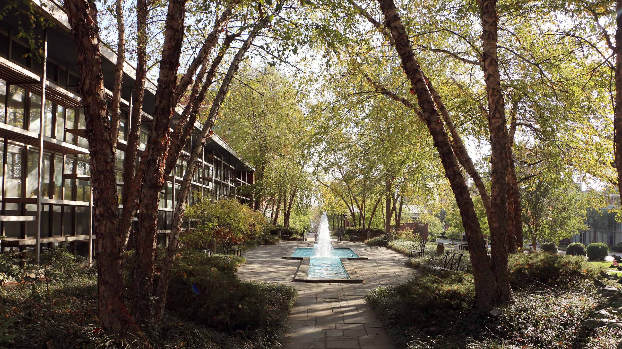 Università di Louisville, KY Belknap Campus