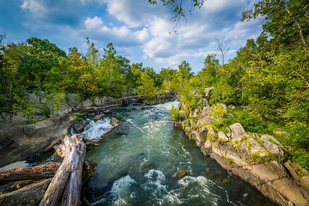 Rapide nel fiume Potomac a Great Falls, viste dall'isola di Olmsted a Chesapeake e Ohio Canal National Historical Park, Maryland.