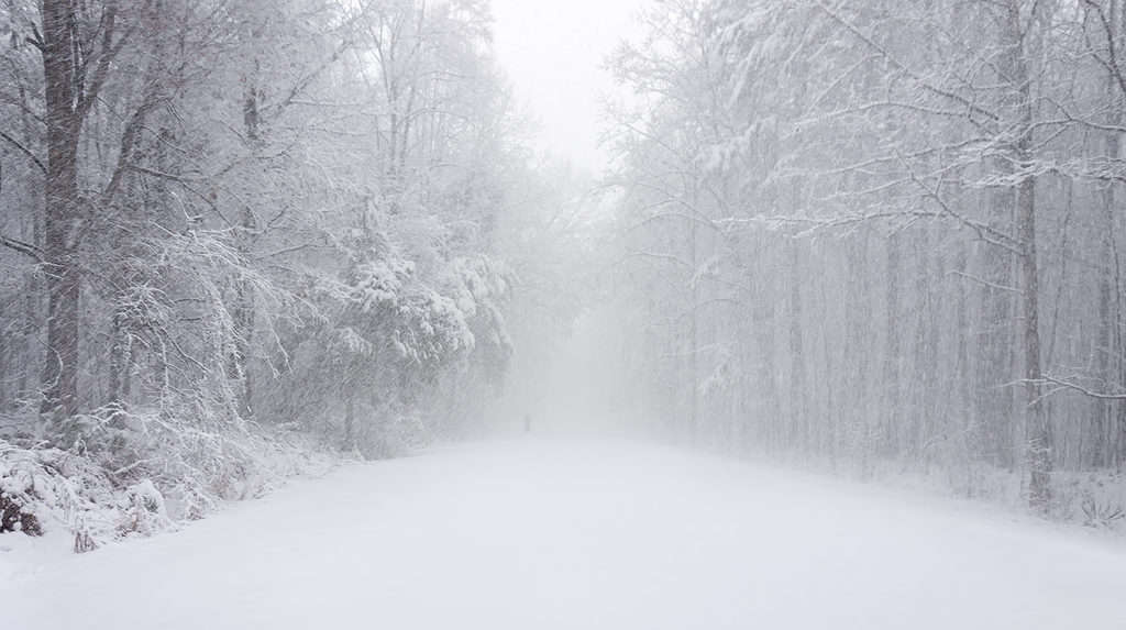 Bufera di neve nella Carolina del Nord