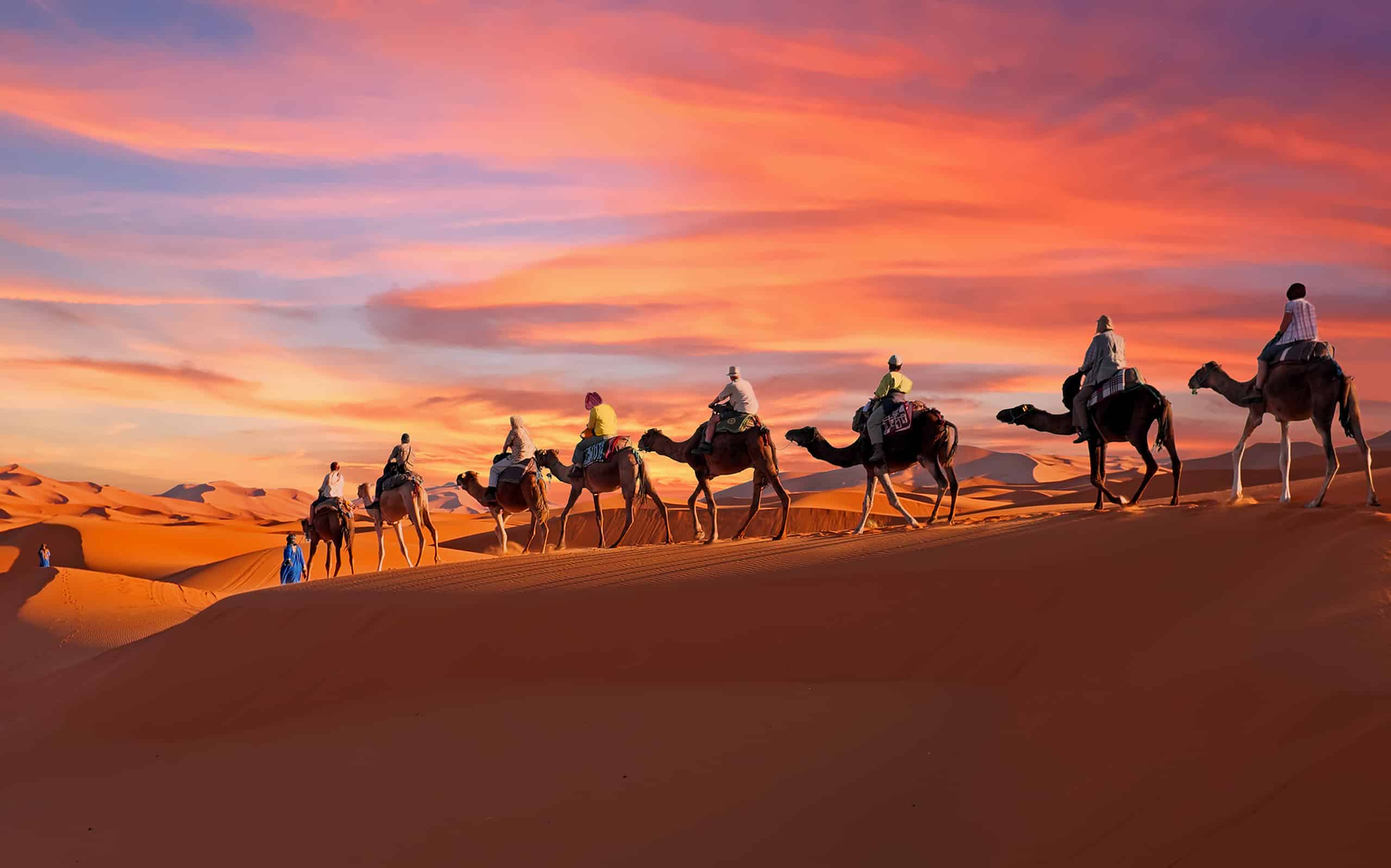 Carovana di cammelli che attraversa il deserto del Sahara in Marocco al tramonto