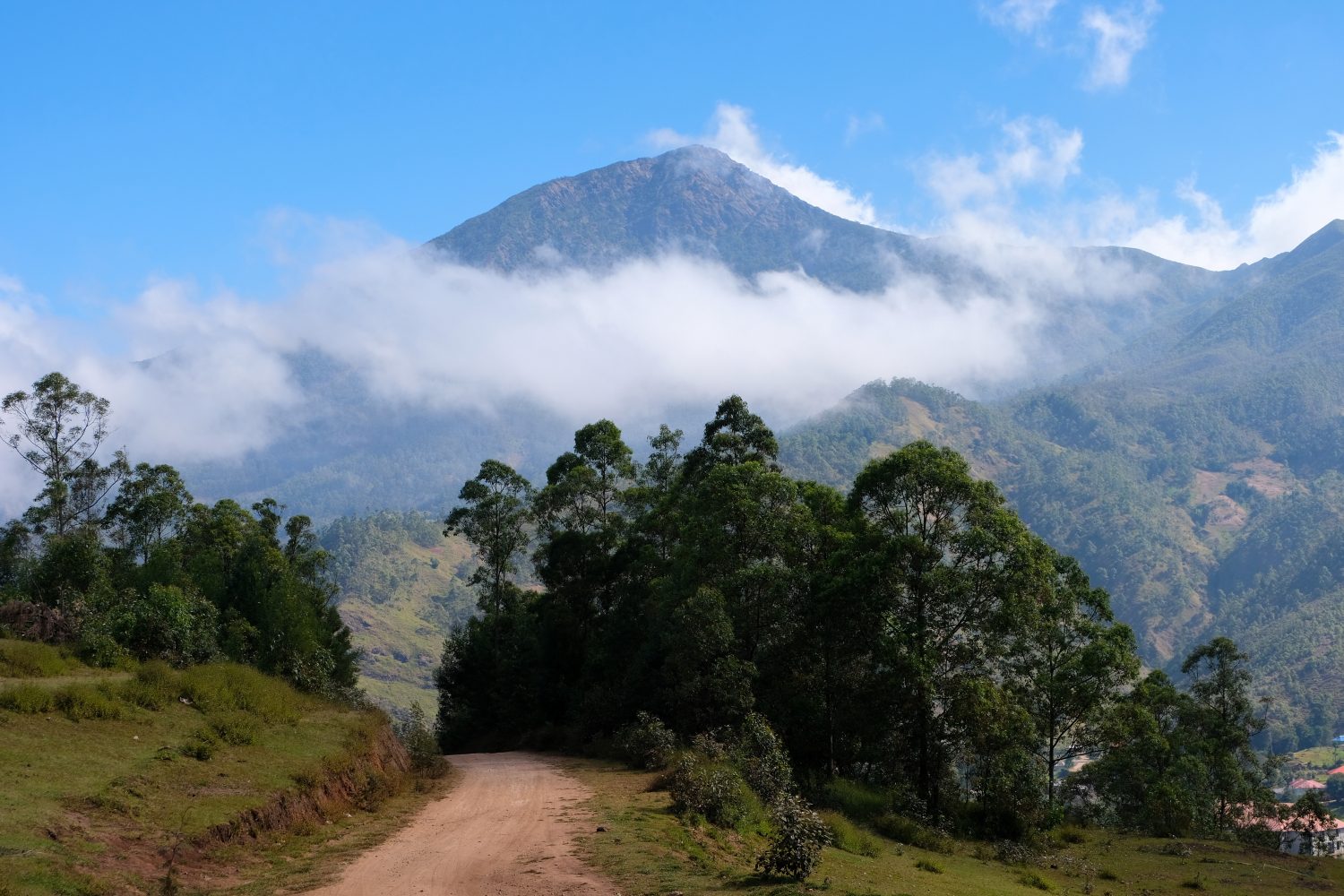 Vista panoramica della montagna più alta di Timor Est, il Monte Ramelau, con nuvole bianche, cieli azzurri e aspri paesaggi ricoperti di alberi