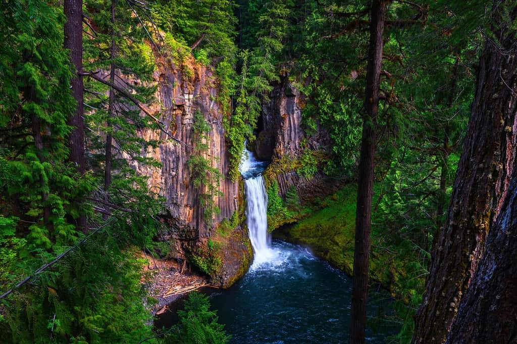 Toketee cade sul fiume North Umpqua situato nella contea di Douglas, Oregon.