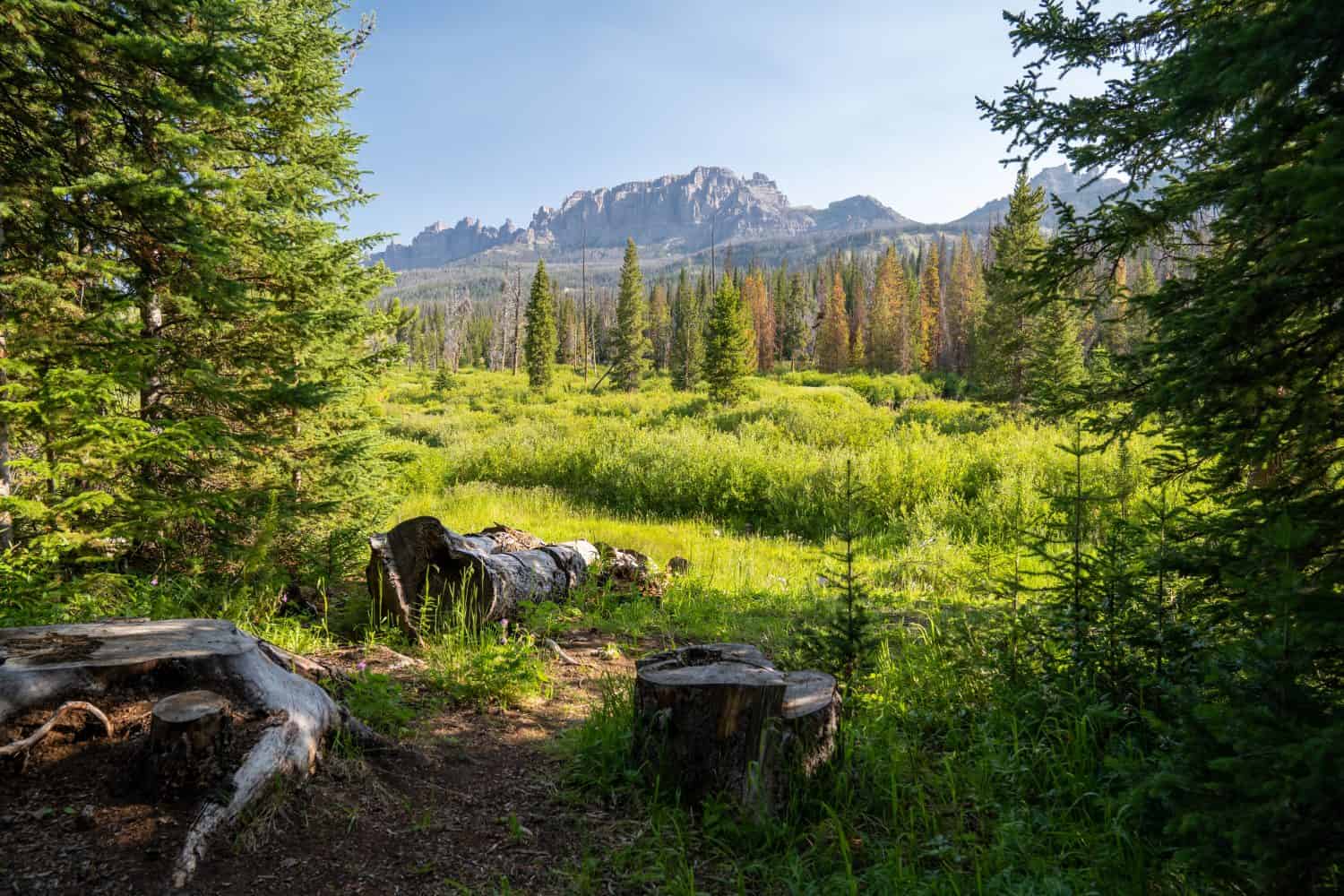 Bellissima vista estiva della Shoshone National Forest, nella zona di Brooks Falls vicino a Dubois