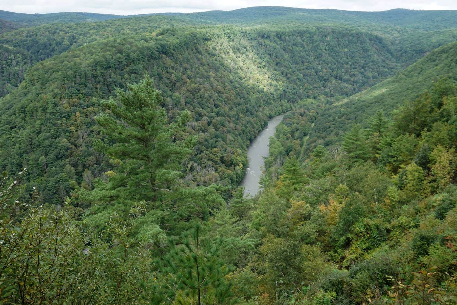 la luce del sole gioca lungo la cresta del Grand Canyon della Pennsylvania;  Contea di Tioga, Pennsylvania, Stati Uniti