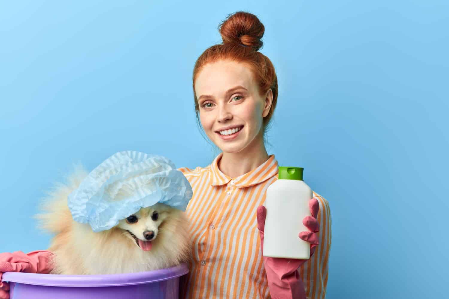 bella ragazza sorridente dai capelli rossi in camicia elegante a righe con in mano un trattamento contro le pulci mentre si sta in piedi su sfondo blu, ripresa in studio. miglior aiuto per gli amanti degli animali domestici